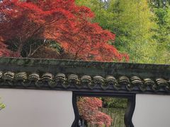 -上海醉白池公园