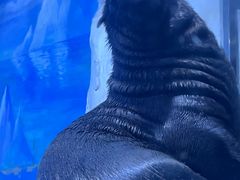 -多彩贵州城极地海洋世界