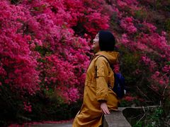 -木兰云雾山