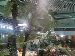 -春润大地海南椰子鸡(沙井京基百纳广场店)