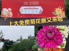 -上海大学(宝山校区)