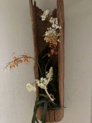 -香秀空间科技抗衰·美容中心