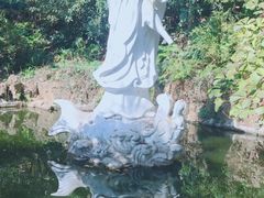 -紫金山天文台