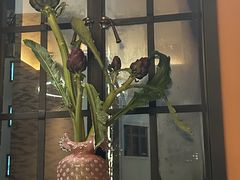 -滇野云南野生菌餐厅(陕西南路店)