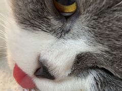 -爱诺动物医院(崂山店)