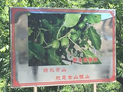 -大岭沟猕猴桃谷风景区