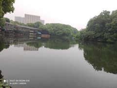 -张鸟园农家乐(张鸟园店)