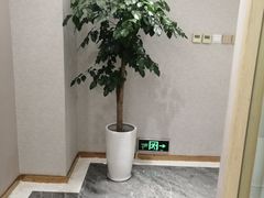 -圣和足道·瑶浴SPA·养生茶府(光华店)
