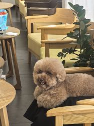 -瞳摄影写真旗舰店
