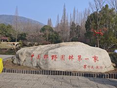 -习家池