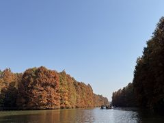 -上海海湾国家森林公园