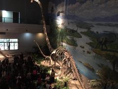 -自贡恐龙博物馆