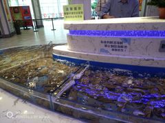 水产区-澜悦港海鲜体验主题餐厅