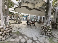 -东郊椰林