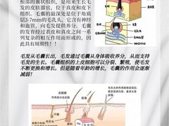 -中国农业大学(西校区)