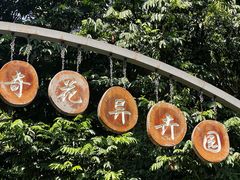 -中国科学院西双版纳热带植物园