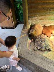 -Zoolung Zoolung动物主题公园(海信广场店)