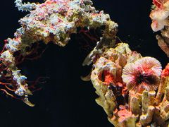-海合安天津极地海洋公园