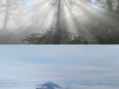 -瓦屋山景区