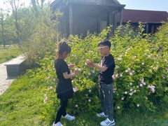 -溱湖国家湿地公园