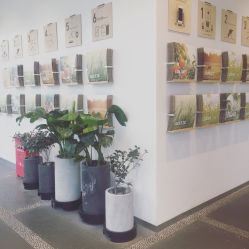 -悦诗风吟innisfree