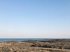-日照海滨国家森林公园
