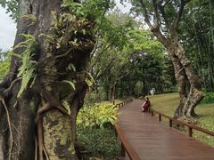 -云溪植物园