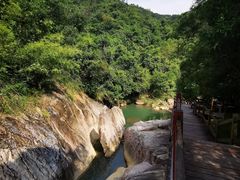 -广州白江湖森林公园