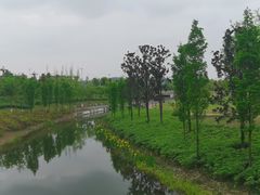-眉山湿地公园(东坡区)