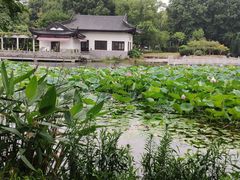 -范蠡湖公园