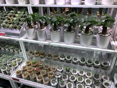 -KKV(深圳宏发大仟里店)