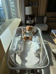 -巍阁高端月子会所