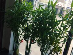 -繁花足道(梅江店)