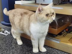 -黑胶星球(华发中城商都店)