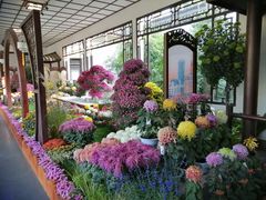 -杭州植物园