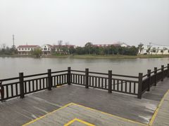 -上海长兴岛郊野公园