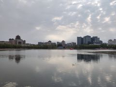 -莲花池公园