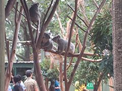 -费瑟代尔野生动物园