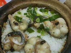 白鳝煲仔饭-兴记菜馆
