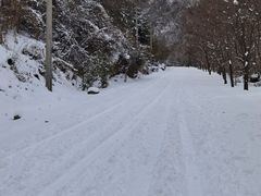 -西安祥峪森林公园