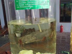 -北京鹿世界主题园
