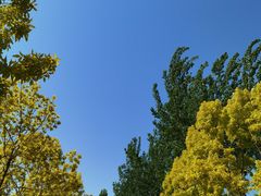 -东郊湿地公园
