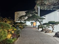 -罗红摄影艺术馆