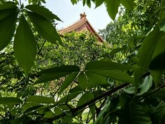 -国家植物园