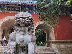 -音乐台