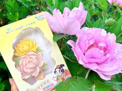 -洛阳市隋唐城遗址植物园