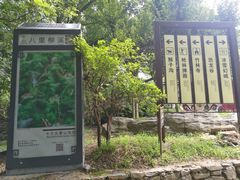 -木兰云雾山