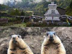 -贡嘎雪山
