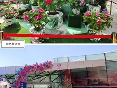 -曹州牡丹园