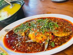 -青城甲(青城山店)